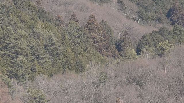 「黒いものが見えたので撃った」獲物と間違え散弾銃が命中 仲間の男性が重傷か 山梨(YBS山梨放送) – Yahoo!ニュース 「黒いものが見えたので撃った」獲物と間違え散弾銃が命中 仲間の男性が重傷か 山梨(YBS山梨放送) - Yahoo!ニュース