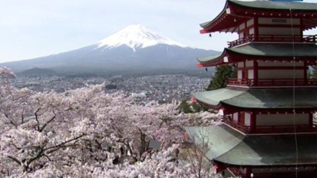 【速報】“桜+富士山+五重塔”の絶景 「桜祭り」の開催見送りが決定 オーバーツーリズム対策で 山梨(YBS山梨放送) – Yahoo!ニュース 【速報】“桜+富士山+五重塔”の絶景 「桜祭り」の開催見送りが決定 オーバーツーリズム対策で 山梨(YBS山梨放送) - Yahoo!ニュース