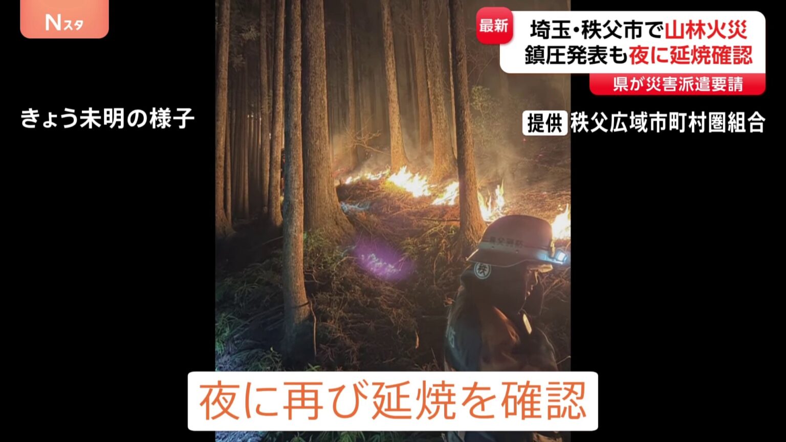 きのう鎮圧も夜に再び延焼　埼玉・秩父市の山林火災「集落の上のあたりから火が発生したような」 自衛隊に災害派遣要請（TBS NEWS DIG Powered by JNN）