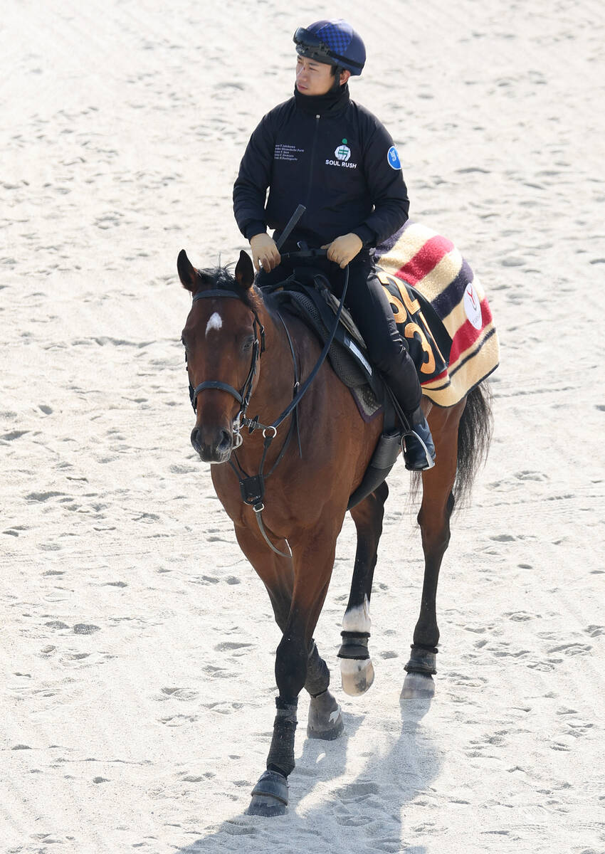 山下記者が注目するゴーイントゥスカイ