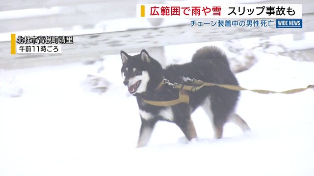 昨年末以来…県内でまとまった降雨 清里では雪 年明けの甲府の降水量はまだ平年の10％ 山梨（YBS山梨放送） - Yahoo!ニュース