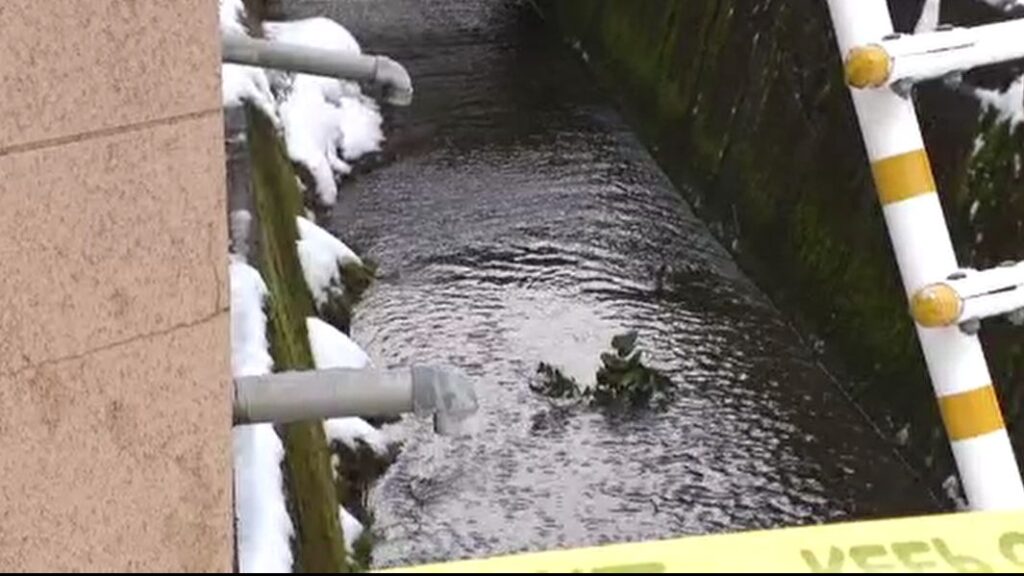用水路で亡くなっていた男性 自転車で転落の可能性 近くに住む50代男性 石川・金沢市（MRO北陸放送） - Yahoo!ニュース