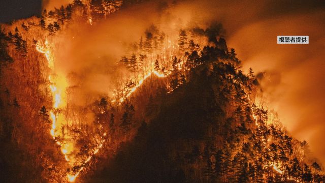 山梨・扇山の山林火災 発生36日目でようやく鎮火「再燃の恐れなし」396ha焼失（YBS山梨放送） - Yahoo!ニュース