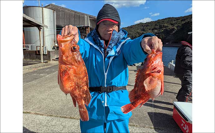 五ケ所湾沖のウッカリカサゴ釣りで40cm級連発！【三重】オニ・アヤメ交じり好土産