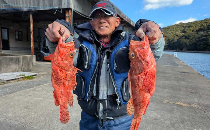 五ケ所湾沖のウッカリカサゴ釣りで40cm級連発！【三重】オニ・アヤメ交じり好土産
