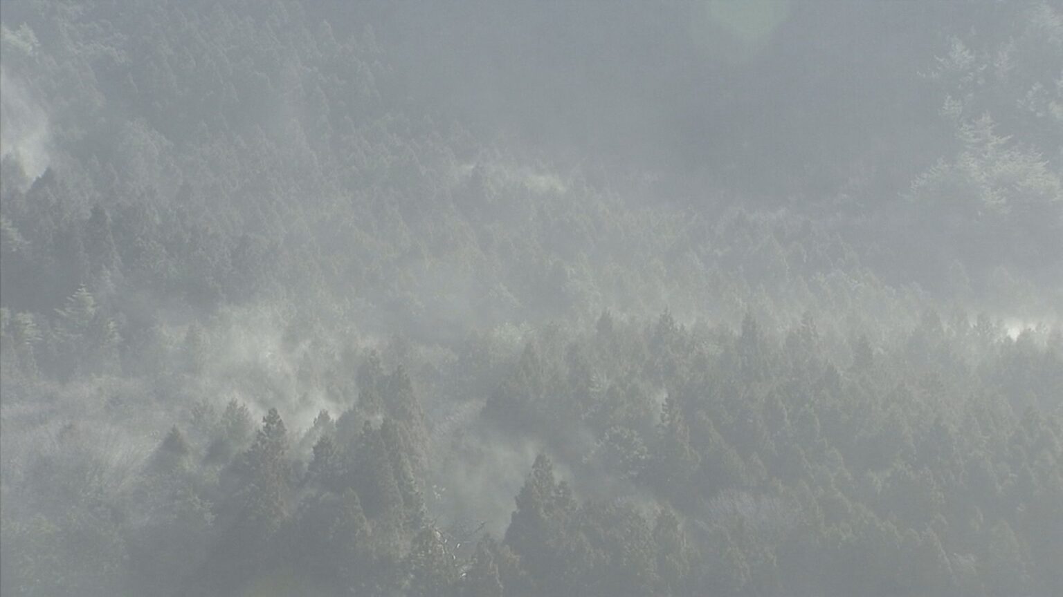【速報】東京都「花粉の飛散開始」発表 多摩地区では13日、23区では14日に飛び始め 今年は去年比1.4倍の予測(TBS NEWS DIG Powered by JNN) 【速報】東京都「花粉の飛散開始」発表 多摩地区では13日、23区では14日に飛び始め 今年は去年比1.4倍の予測(TBS NEWS DIG Powered by JNN)