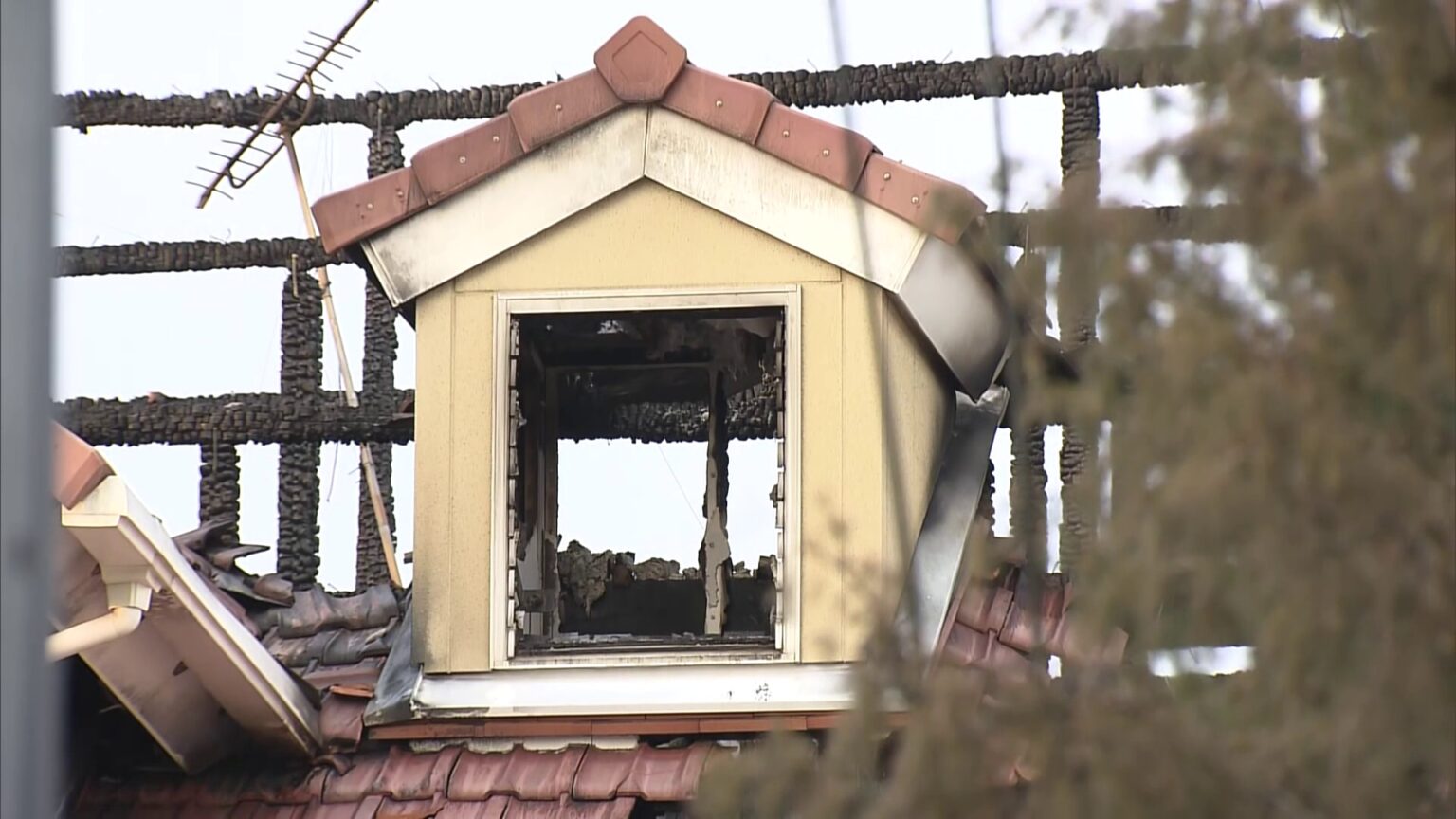 妻「2階から飛び降りて逃げた」　東広島・男性殺害事件（TBS NEWS DIG Powered by JNN）