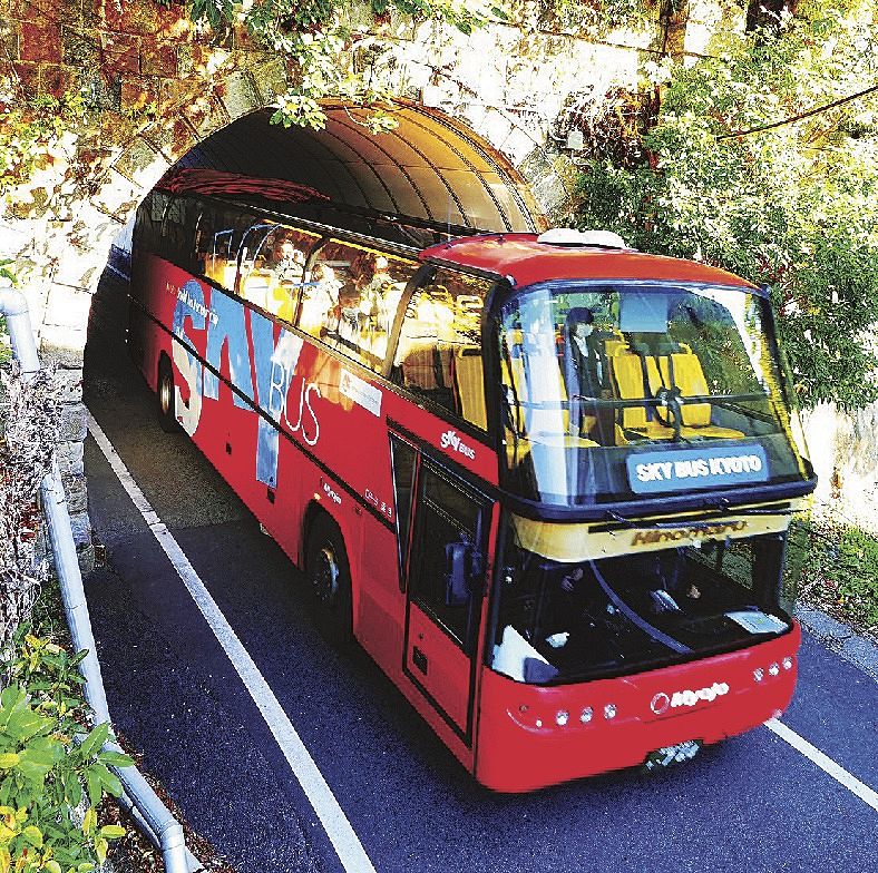 スカイバス 今年も走るよ　４コースで魅力発信、和歌山県白浜で今春（紀伊民報） - Yahoo!ニュース