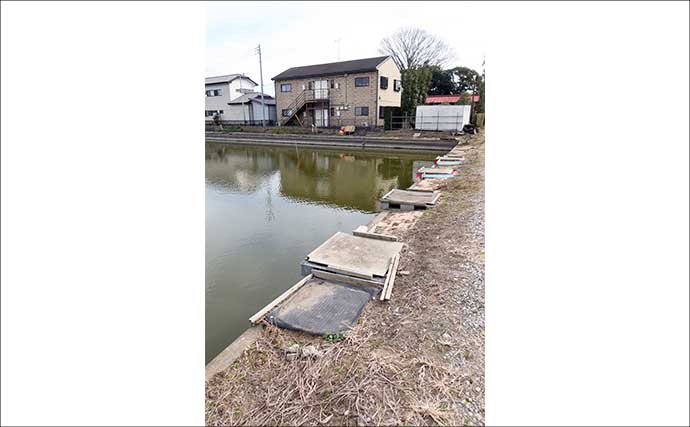 今週のヘラブナ推薦釣り場2026【千葉県・道の口沼】
