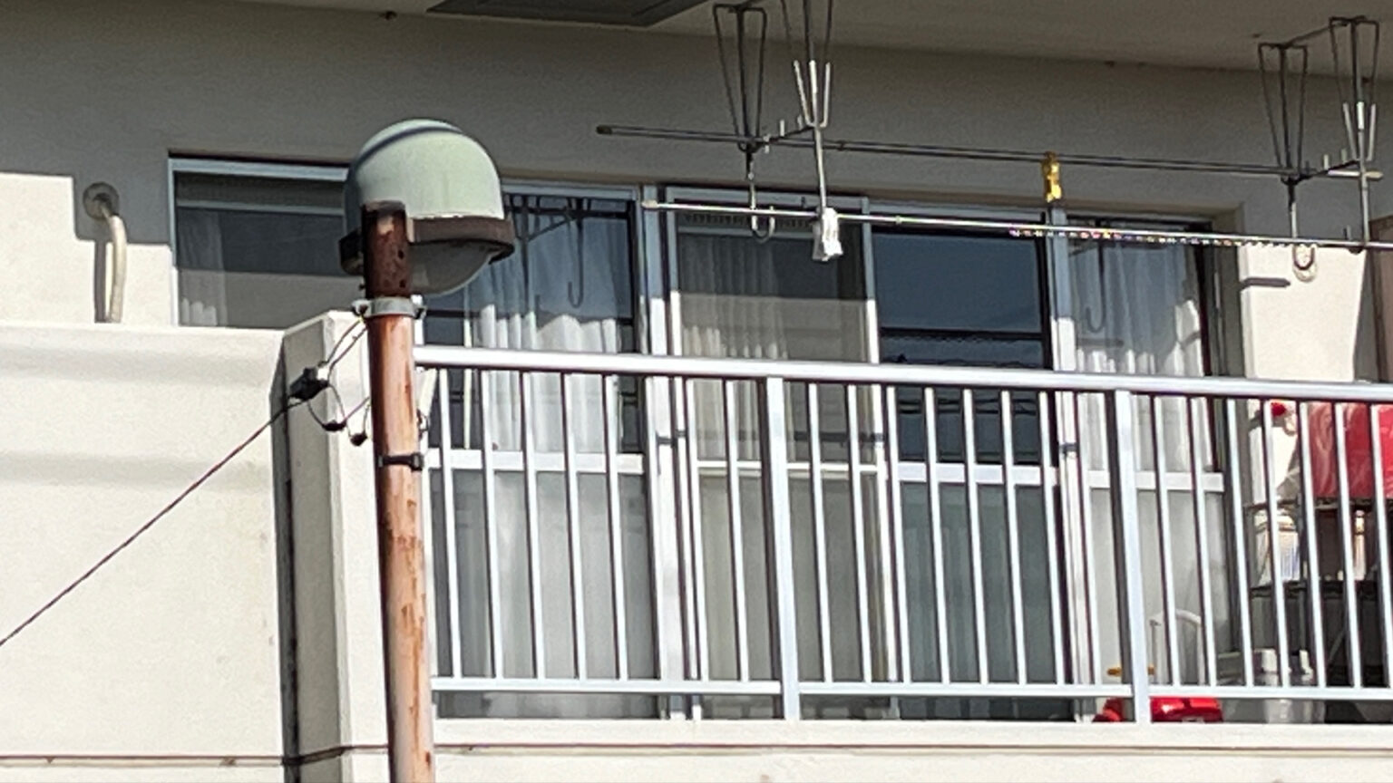 群馬・館林市の住宅で生後1か月の男児を殺害か　バングラデシュ国籍の母親（35）を逮捕　群馬県警（TBS NEWS DIG Powered by JNN）