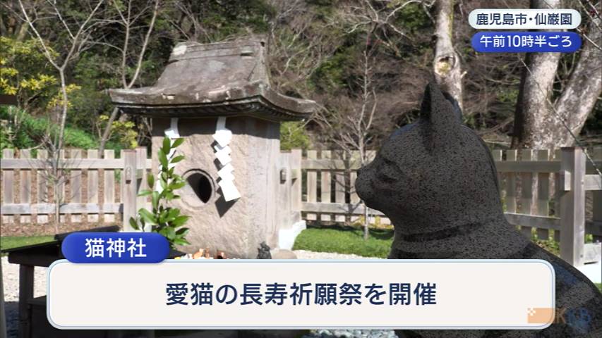 ２月２２日「 猫の日」 愛猫の長寿を祈願　鹿児島（KKB鹿児島放送） - Yahoo!ニュース