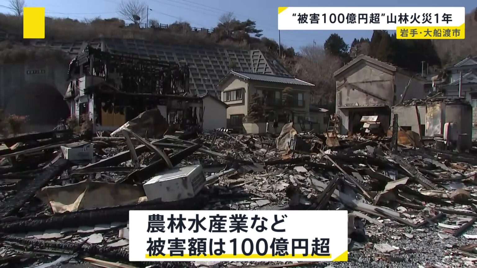 岩手・大船渡の大規模山林火災から1年　被害総額100億円…延焼範囲は平成以降最大に　地元企業は再建に向け動き（TBS NEWS DIG Powered by JNN）