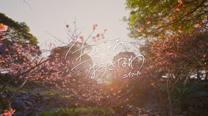 かつての共演から、文化の継承へ北村匠海 監督 × 黒島結菜 ナレーション「沖縄のことば」を次世代に繋ぐBe. Okinawa2025 冬の沖縄「ユイマール」篇 ブランドムービー公開