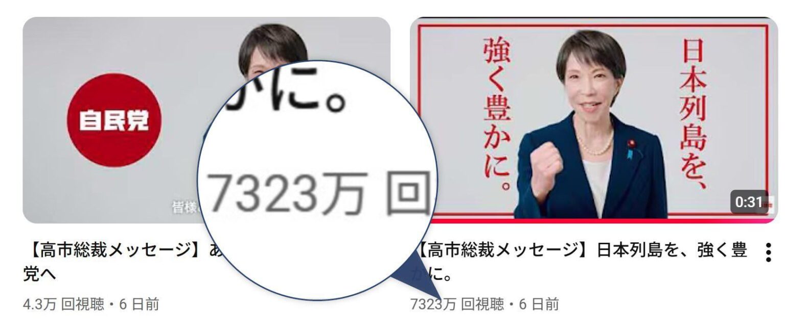 日本人の半分はサナを見た