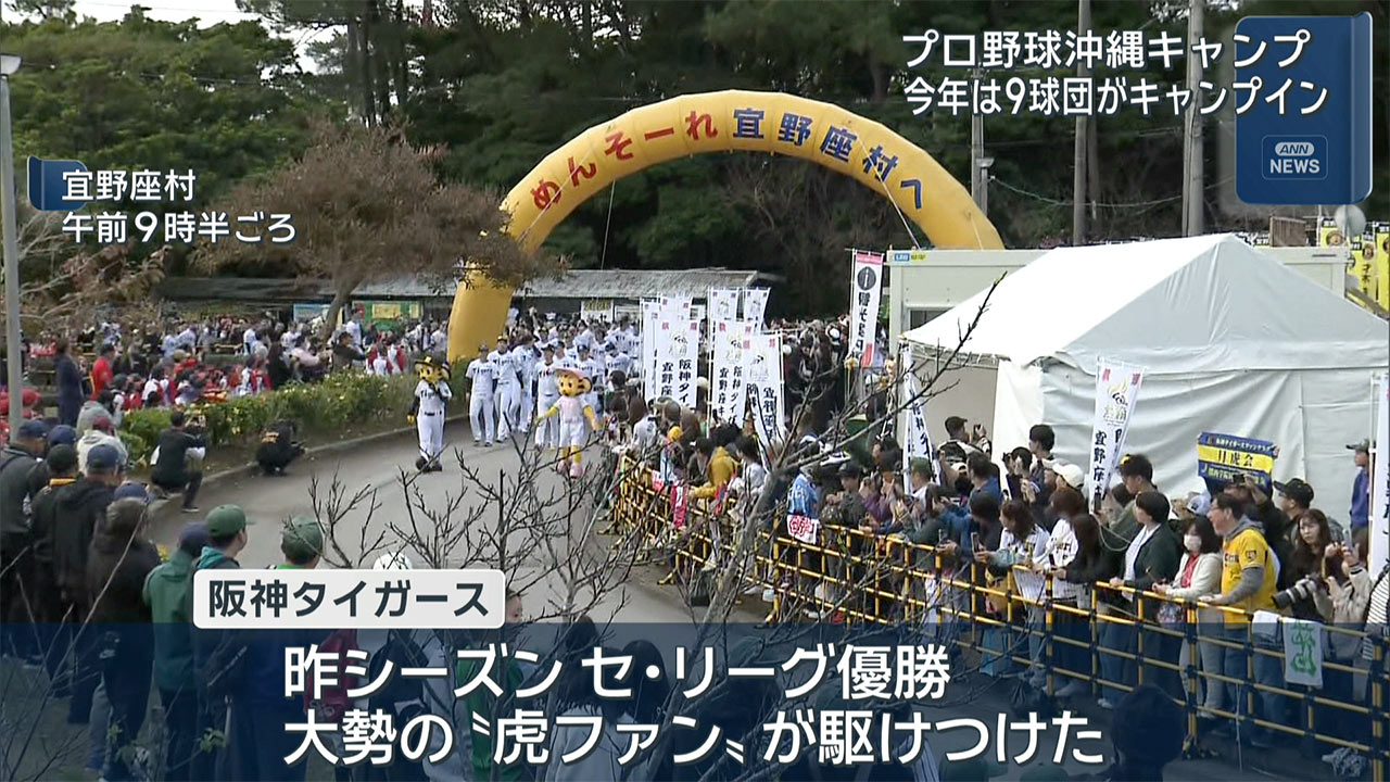 プロ野球沖縄キャンプがスタート!