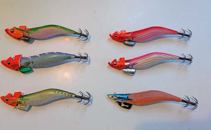 ティップランで1.4kg頭にアオリイカ船中9匹キャッチ【三重】ヒットカラー見極めが釣果に繋がる