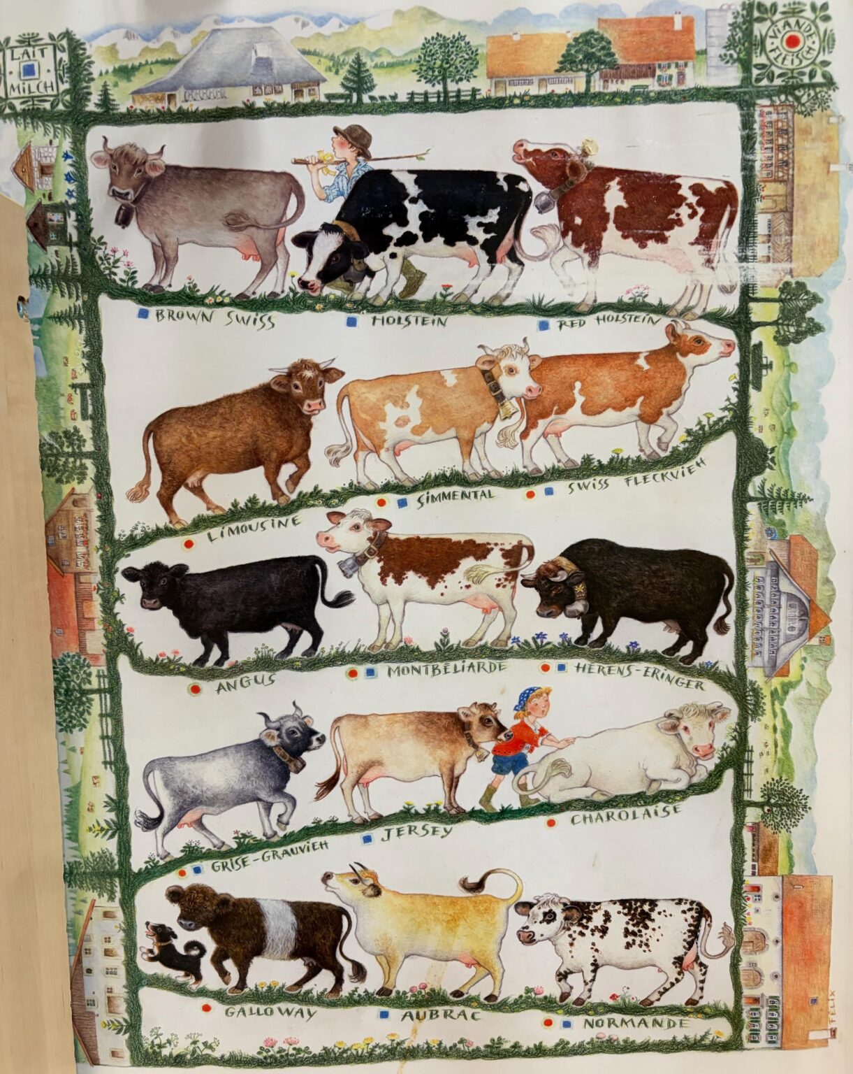 まさにスイスらしいポスター