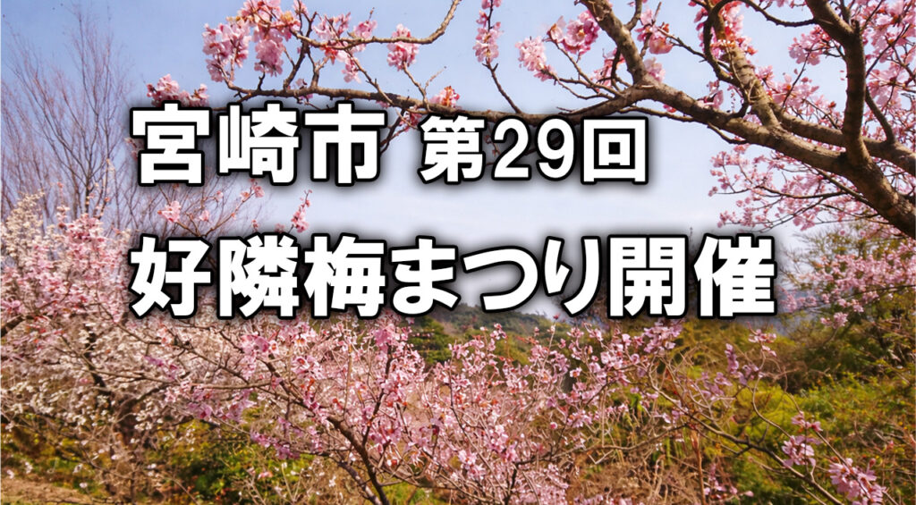 宮崎市第29回 好隣梅まつり開催案内｜青島自然休養村「好隣梅」で梅の見頃を楽しもうーアイキャッチ画像