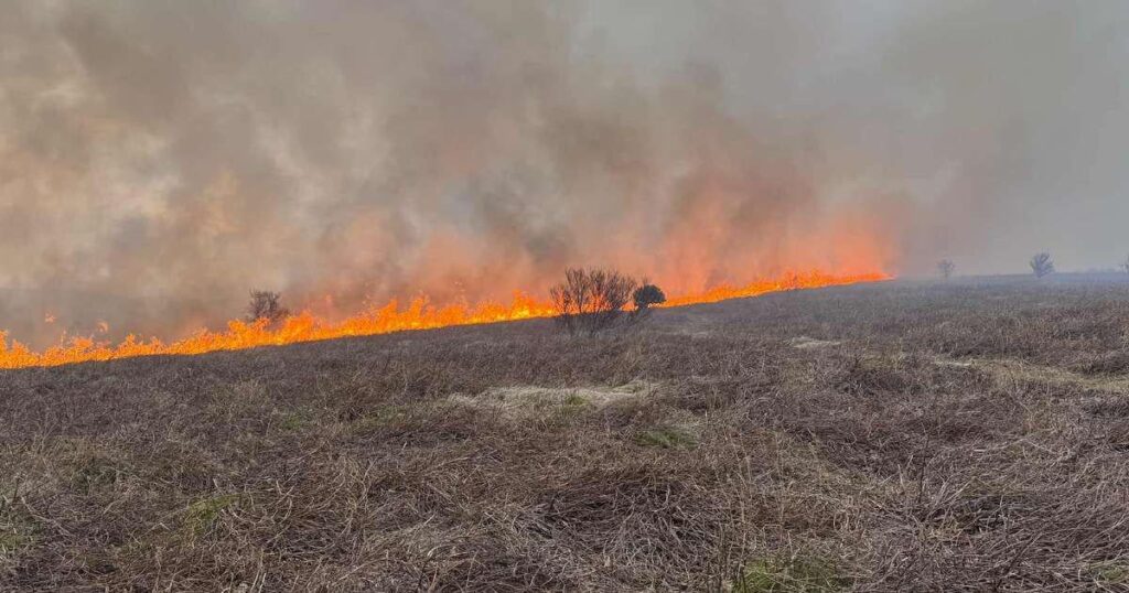 制御が困難な拡大する山火事 - RÚV.is