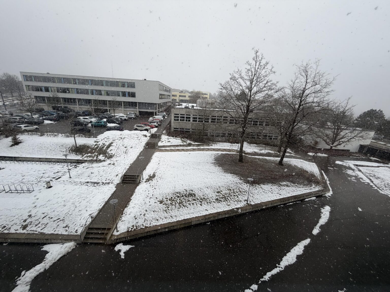 またまた開催です❄️ 🤲🏻🤍