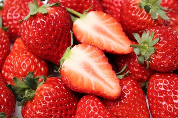 新潟駅『CoCoLo南館』内『Sea Point NIIGATA × MOYORe:』で『しばた越後姫フェア』開催!2月22日~23日。 : にいがた速報 しばた越後姫フェア