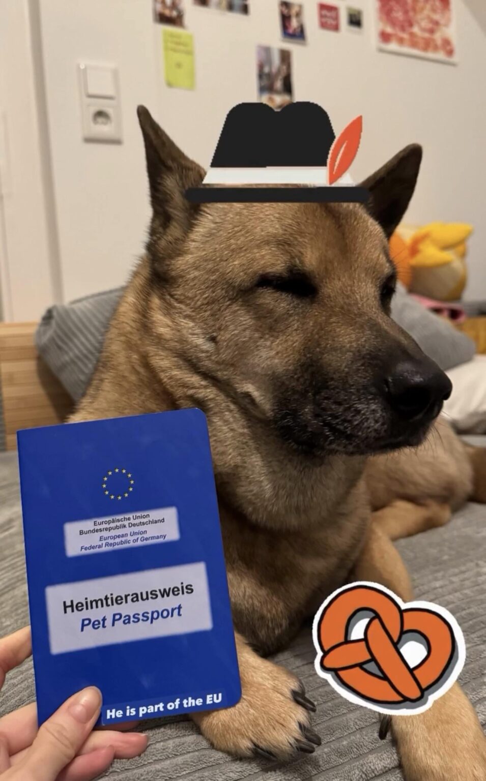 ベトナム人の犬と一緒にドイツのバイエルン州に移住しました。彼は現在ドイツ人です