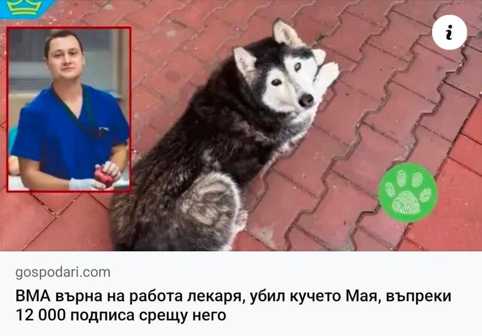 私たちは自分自身を破壊します🫠