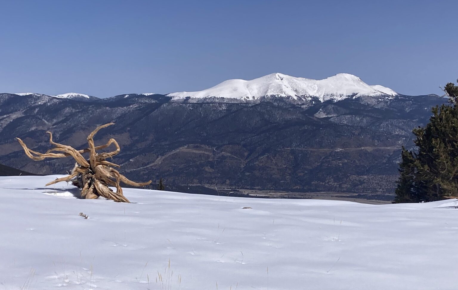 山の中でエストニアの国旗に見える写真を偶然撮ってしまいました