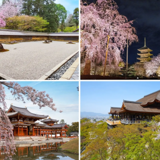 HOTEL THE MITSUI KYOTO、世界遺産「龍安寺」「平等院」「東寺」「清水寺」で1日1組限定・春の特別拝観プライベートツアー開催 - 観光経済新聞