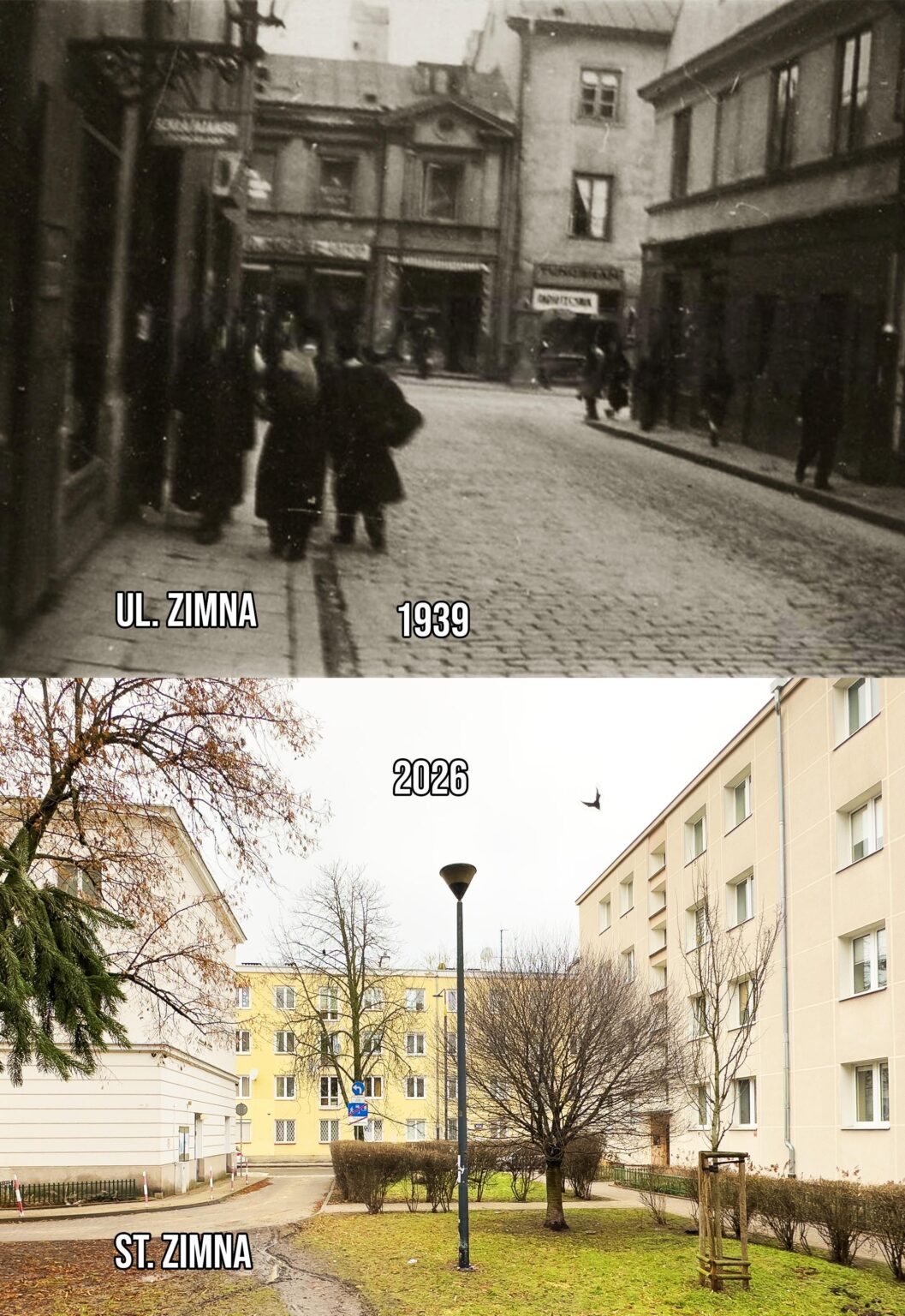 ポーランド、ワルシャワのジムナ通り