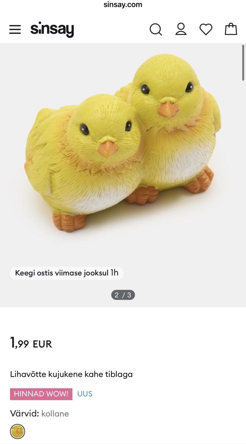 毎日の休日の期待