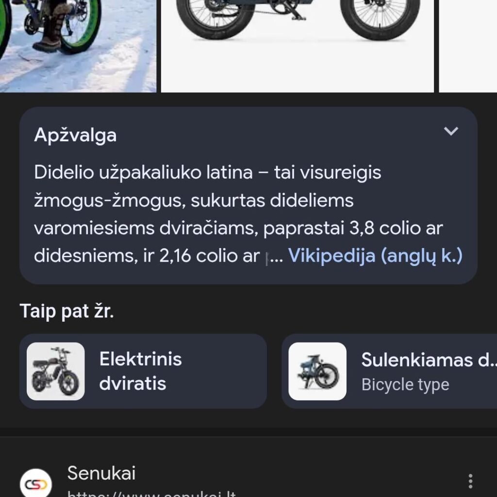 大きなお尻を持つラティナは全地形型の人です。