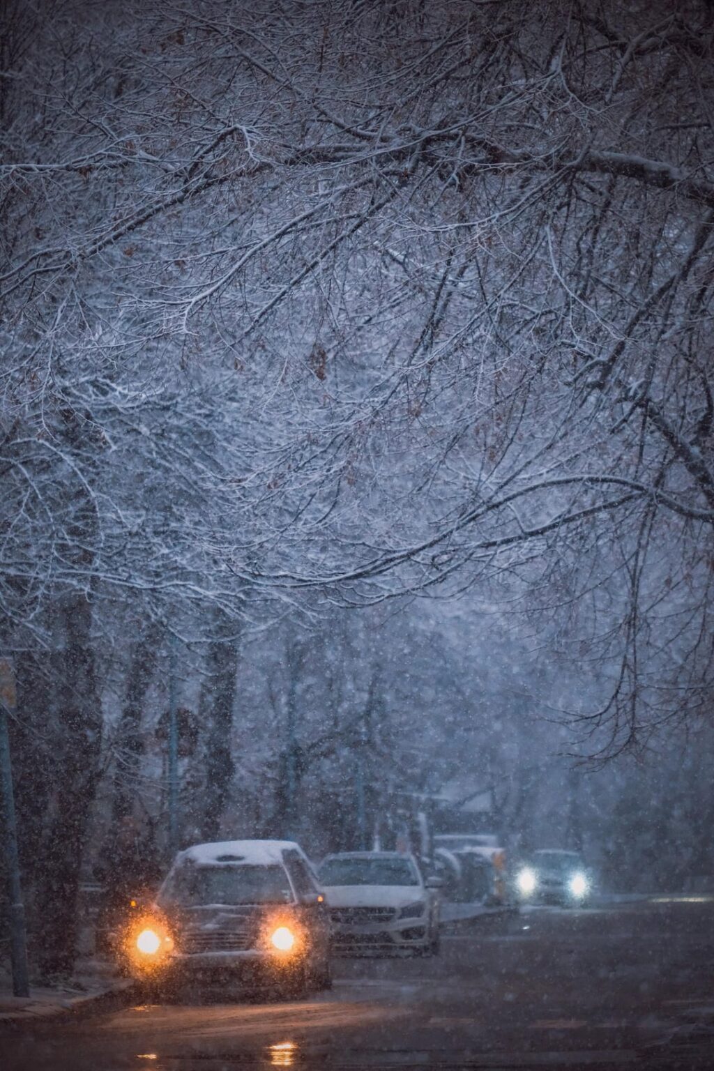 プロブディフ雪の日曜日の夜
