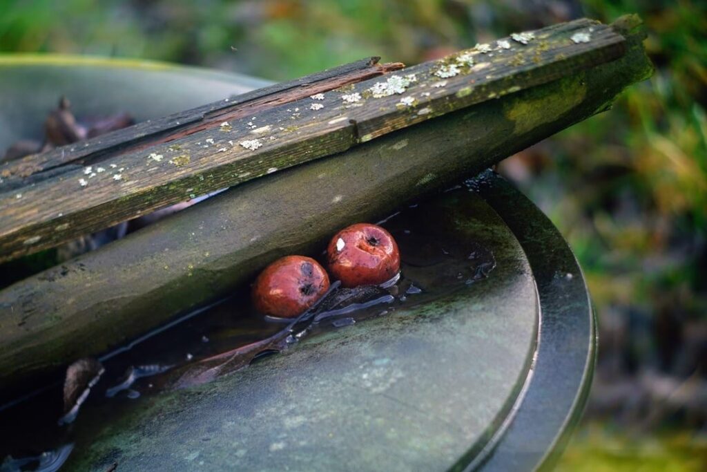 マンテルナッハの晴れた日 1