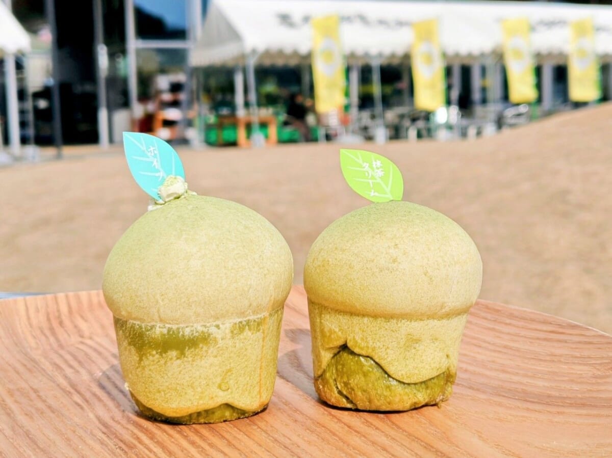 静岡県牧之原市・道の駅 そらっと牧之原「さとりベーカリー」お濃茶クリームあんぱん、お濃茶ふわふわクリームあんぱん