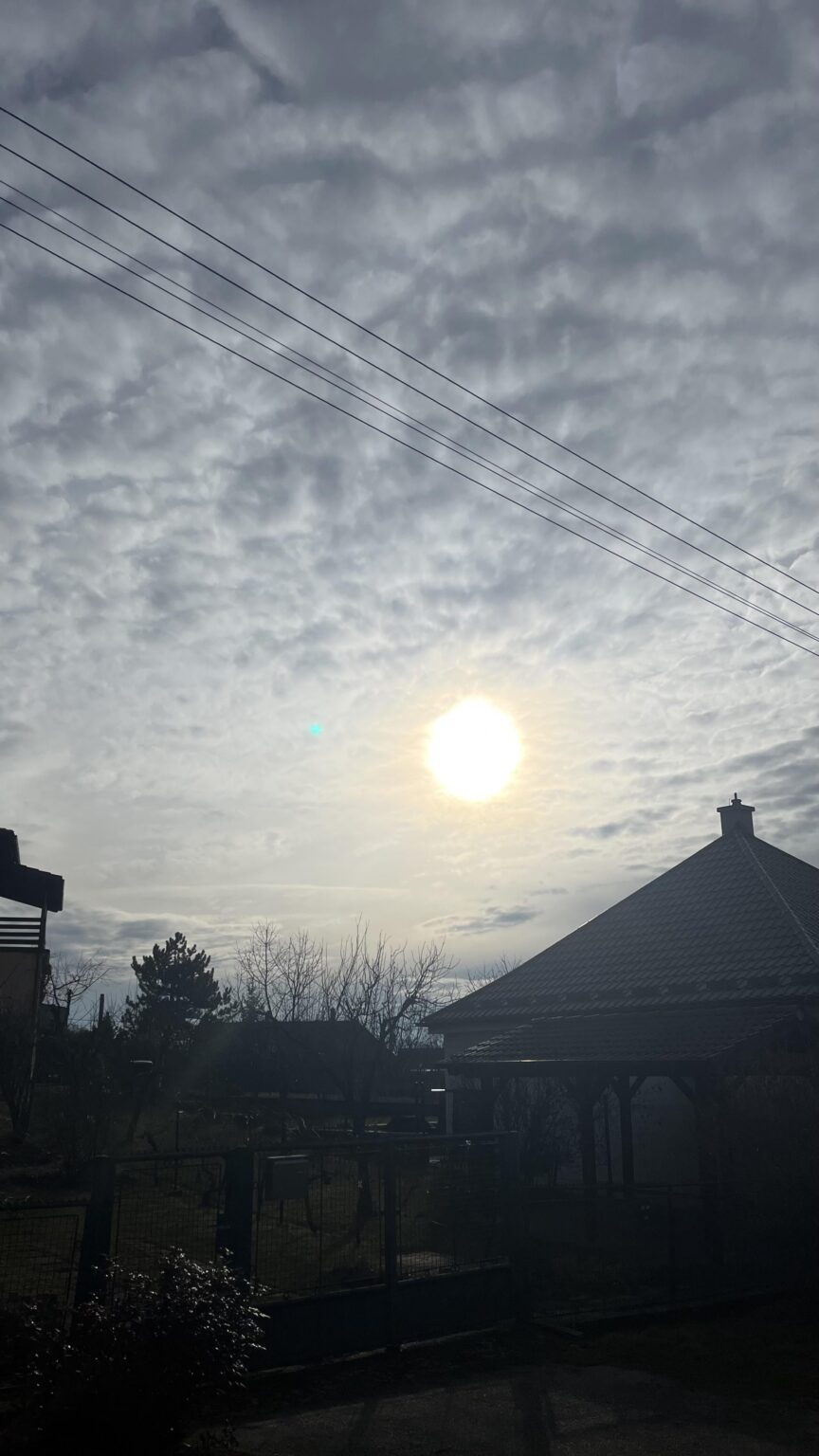 これは何ですか？？？誰か知っていますか？恐れるべきでしょうか？