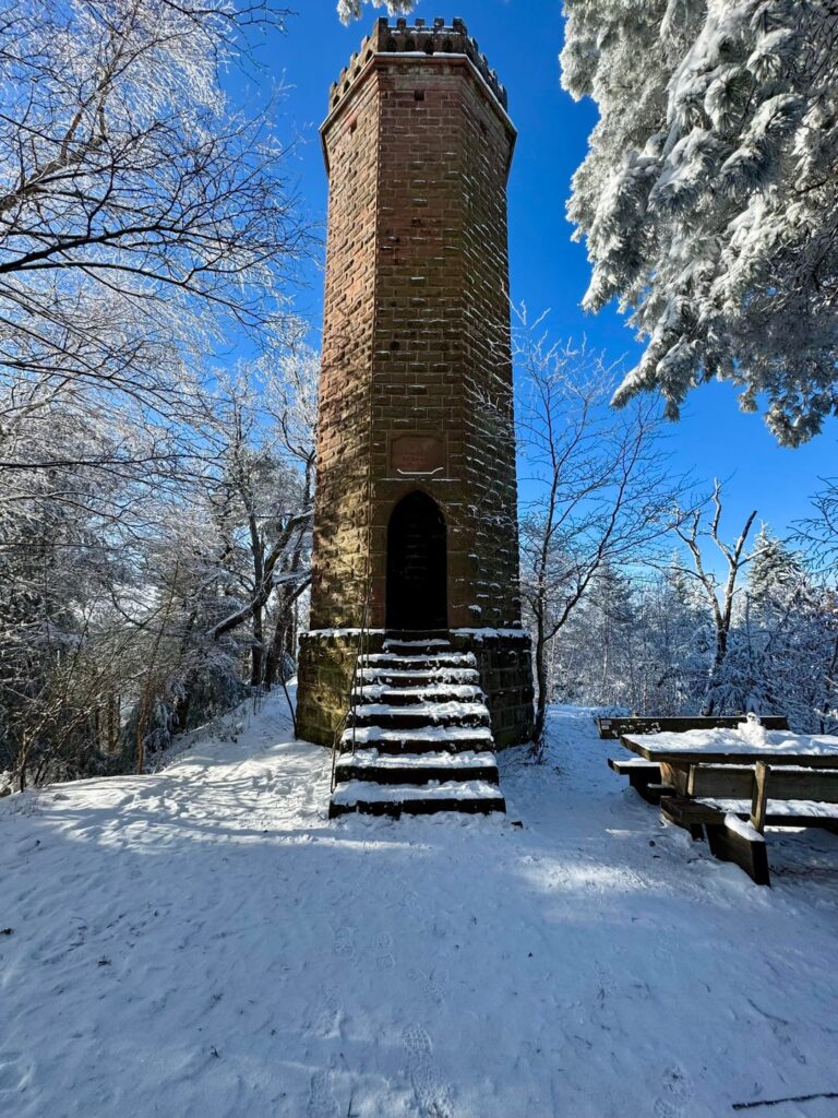 プファルツの雪