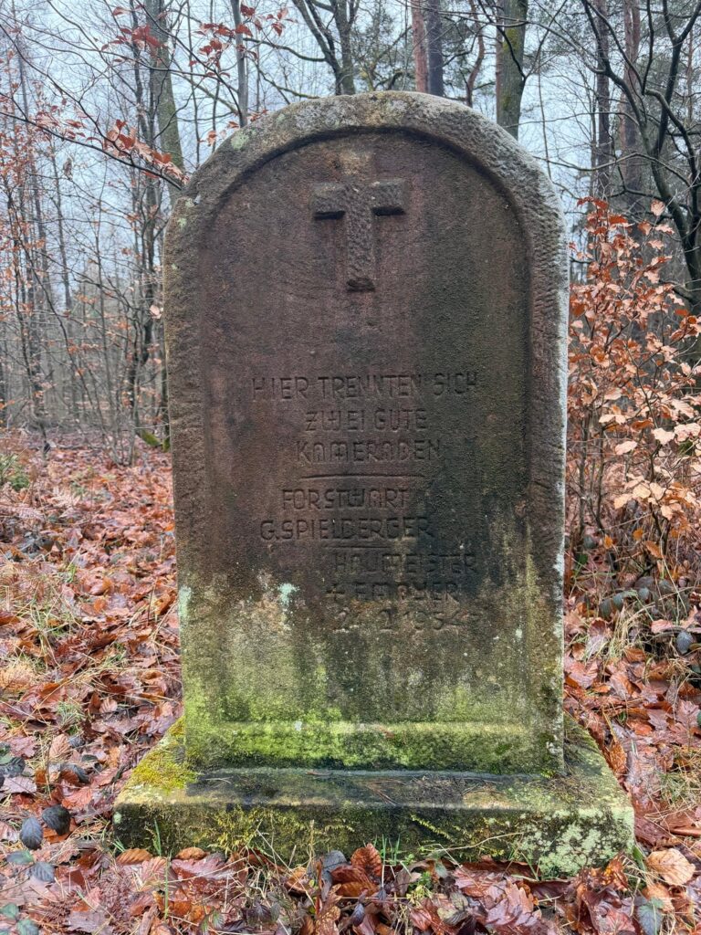 ラインラントの森で発見