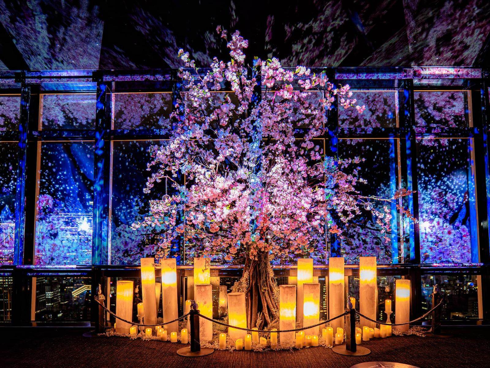 東京タワーの“桜色マッピング”ショー、光輝く満開の桜と夜景のコラボを展望デッキで｜写真1