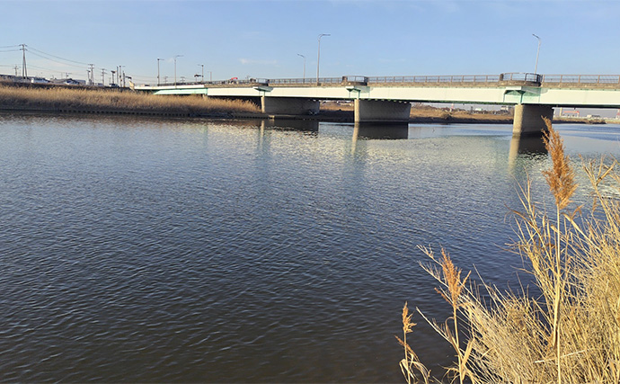 待望のバチ抜けがスタートも釣れない謎【千葉・養老川】時合いも短時間で終了