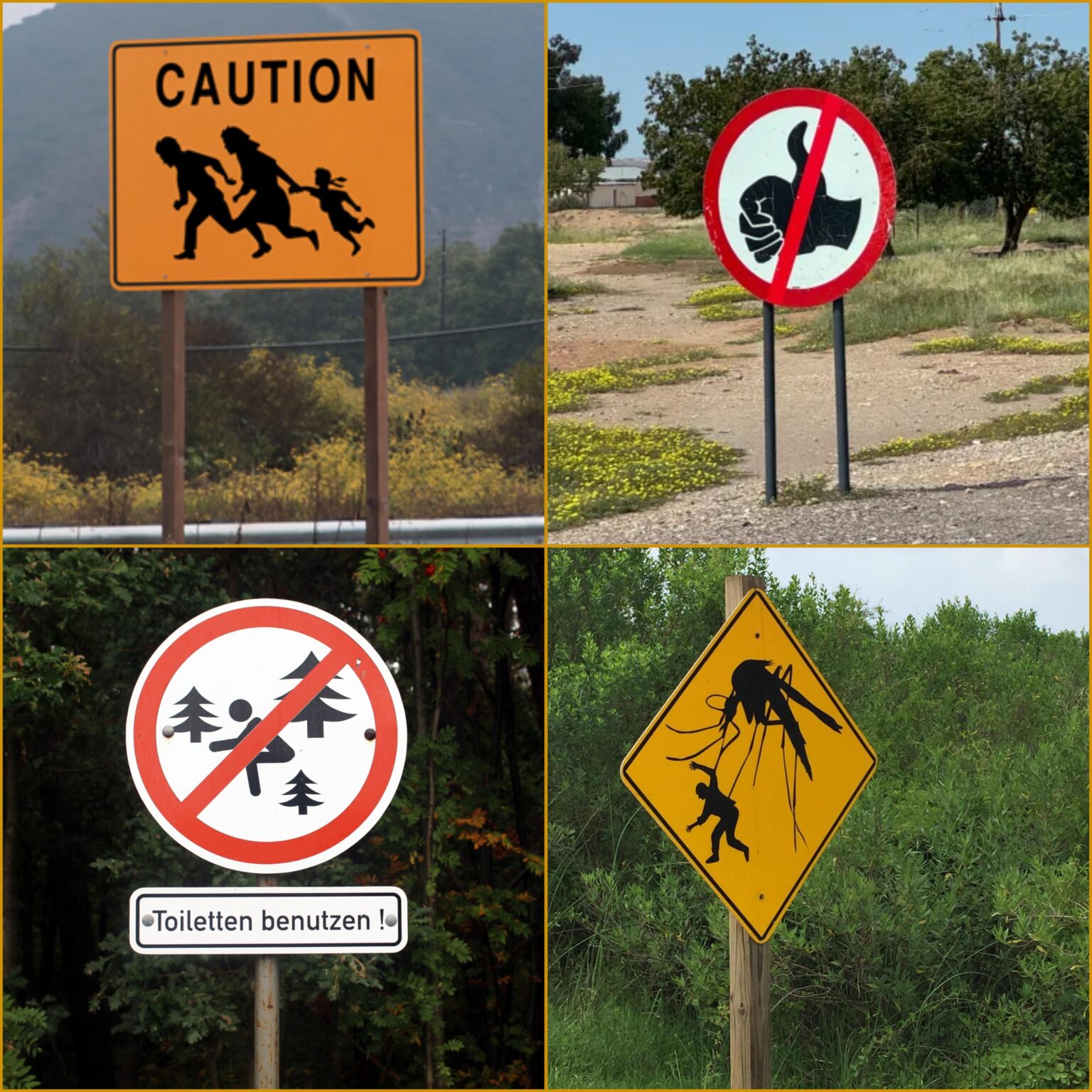 あなたの国/地域で最も珍しい道路標識は何ですか?