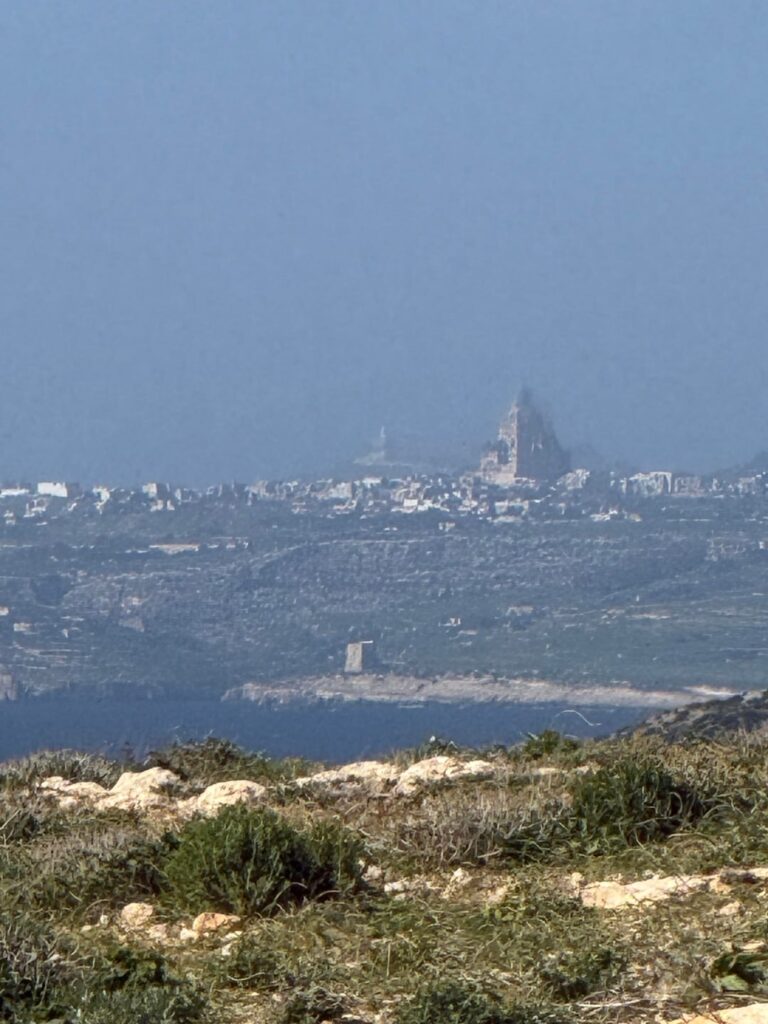 一体私は何を見ているのでしょうか？