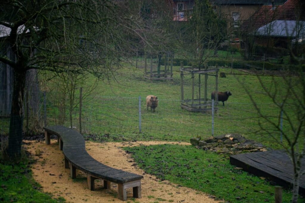 マンテルナッハ 20260201