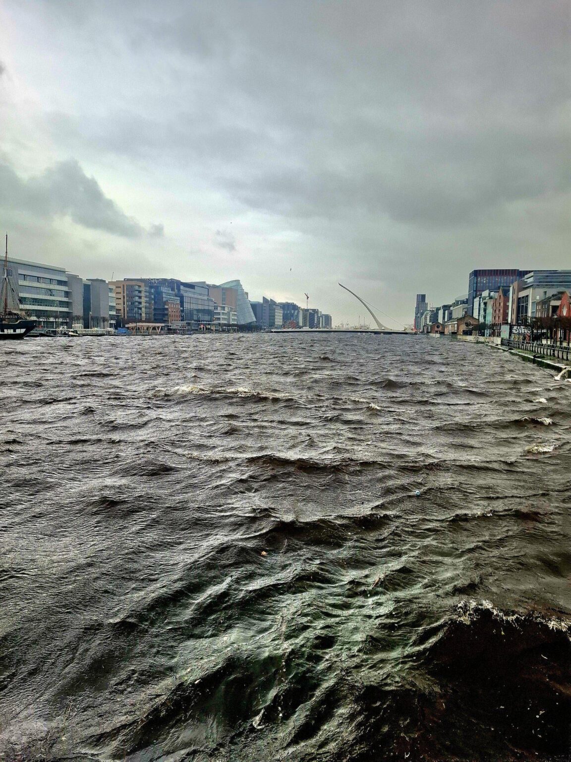 リフィーは危険なほど限界に近づいているように見える