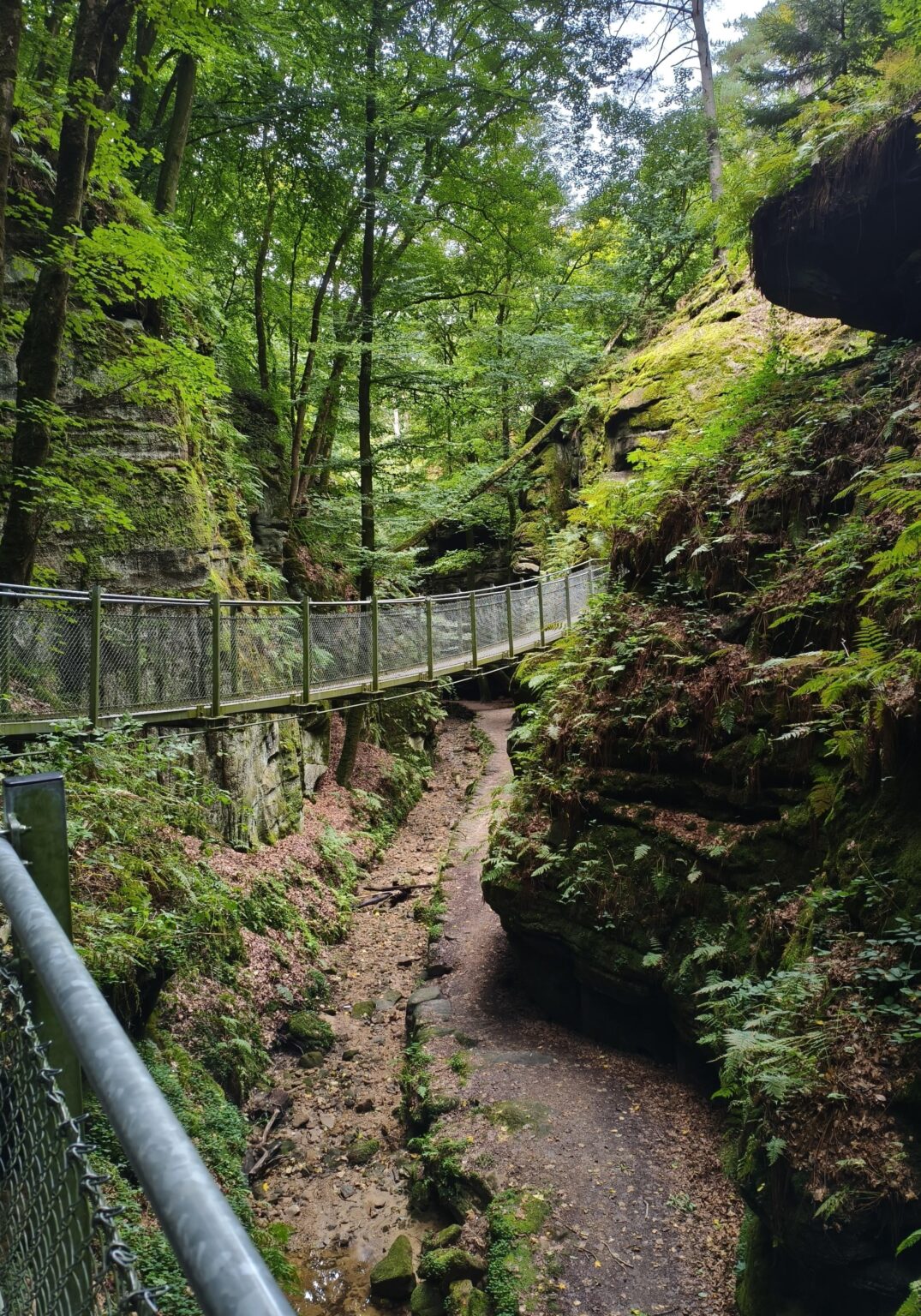 私がハイキングにハマるきっかけとなったトレイル - Mullerthal Trail