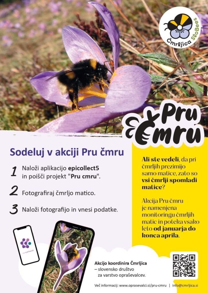 マルハナバチの目撃情報の記録にご参加ください。