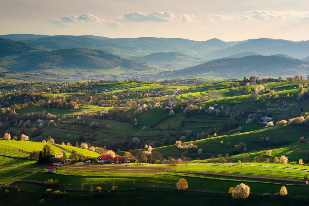 何か前向きなこと - たとえそうは見えなくても、スロバキアにはゆっくりと春が近づいています