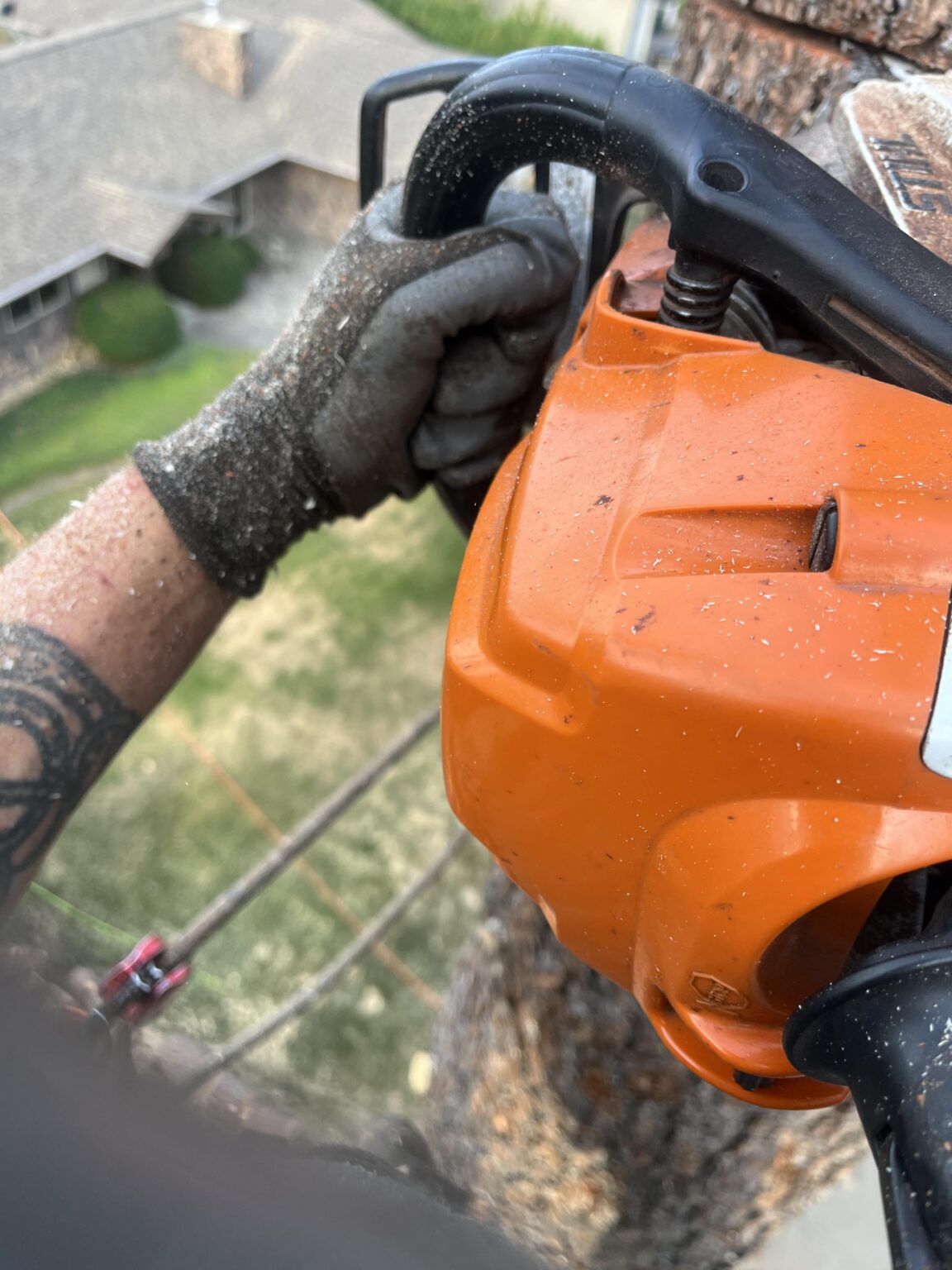 ツリークライマー/アーボリストの仕事