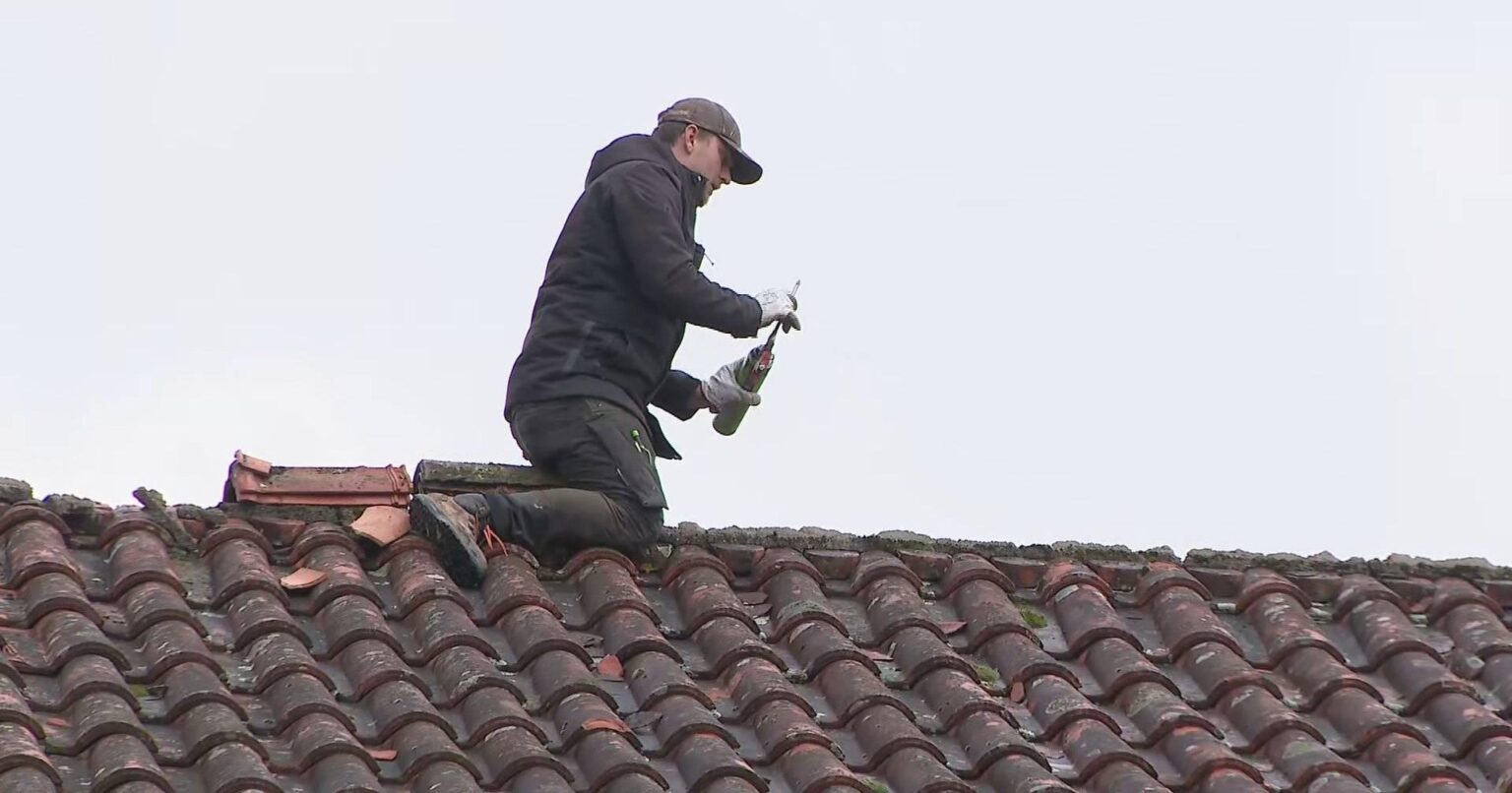 移民たちはすでにペドロガン・グランデで破損した70軒の家を修復した：「私たちは心を込めてやっています」