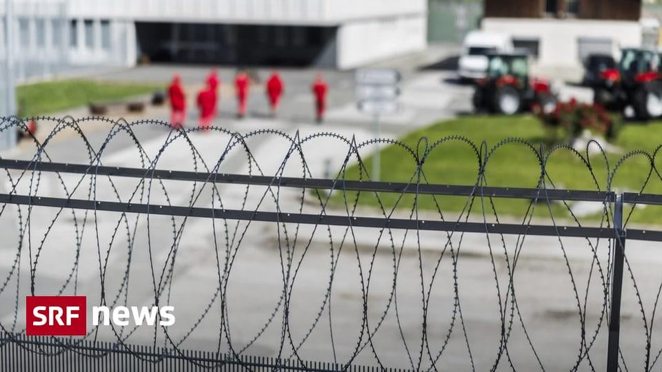 過密な刑務所: スイスの刑務所の非人道的な状況